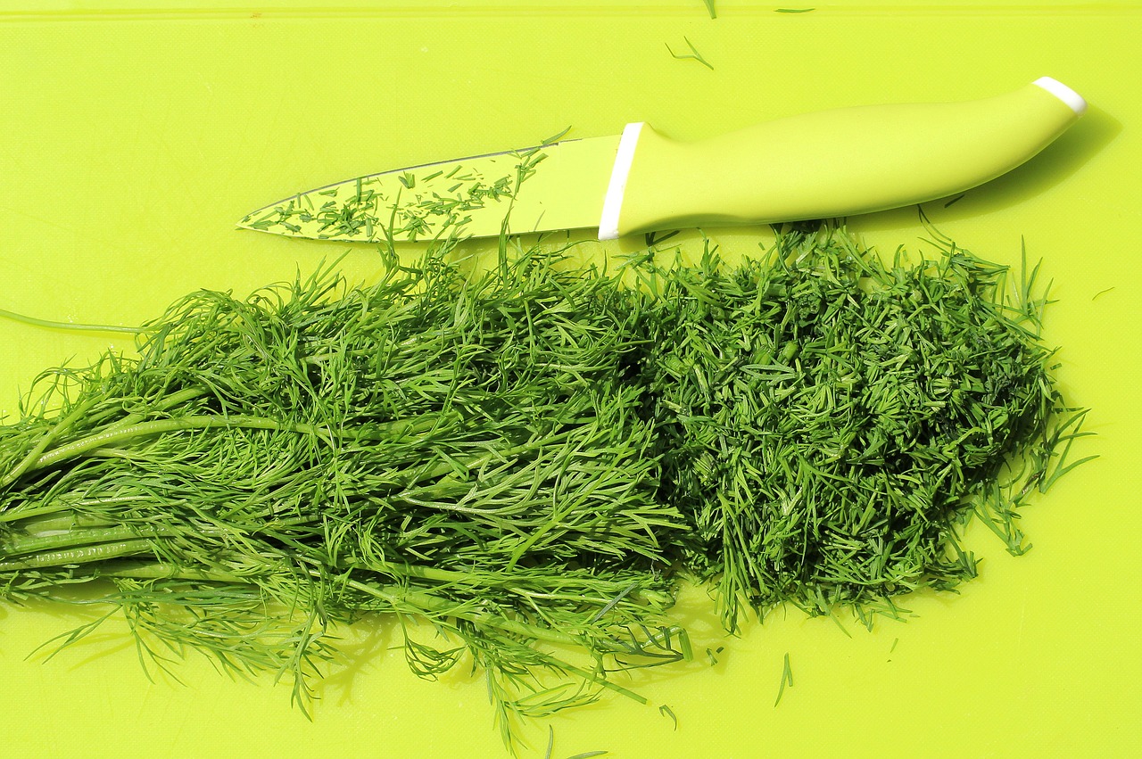 Właściwości kopru włoskiego